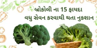 બ્રોકલી ના 15 ફાયદા અને વધુ સેવન થી થતા નુકશાન | Broccoli na fayda Gujarati broccoli health benefits in Gujarati - બ્રોકલી ના ફાયદા - Broccoli na fayda in Gujarati
