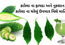 કારેલા ના ફાયદા અને નુકશાન | કારેલા ના ઘરેલું ઉપચાર | Karela na fayda કારેલા ના ફાયદા - Karela na fayda - karela benefits in Gujarati