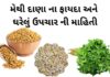 મેથી દાણા ના ફાયદા અને ઘરેલું ઉપચાર ની માહિતી | Methi na dana na fayda methi na dana na fayda - મેથી દાણા ના ફાયદા - fenugreek health benefits in Gujarati - મેથી દાણા ના ઘરેલું ઉપચાર ની માહિતી