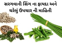 સરગવાની સિંગ ના ફાયદા અને ઘરેલું ઉપચાર ની માહિતી| Saragva ni sing fayda સરગવાની સિંગ ના ફાયદા – sargva ni sing na fayda - Drumstick benefits in Gujarati