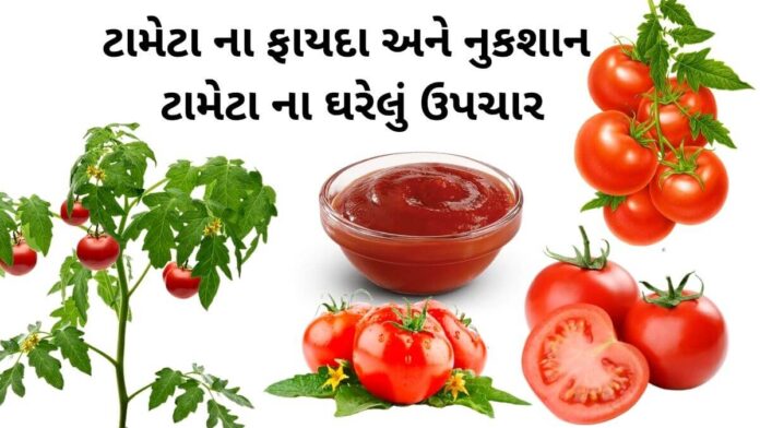 tomato benefits in Gujarati ટામેટા ના ફાયદા - ટામેટા વિશે માહિતી - ટામેટા ખાવાના ફાયદા - tomato benefits in Gujarati - tameta na fayda