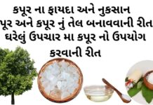 કપૂર ના ફાયદા અને નુકસાન | ઘરેલું ઉપચાર મા કપૂર નો ઉપયોગ |કપૂર કેવી રીતે બને કપૂર ના ફાયદા - kapur na fayda - camphor benefits in Gujarati - kapur na faida - કપૂર બનાવવાની રીત - કપૂર નું તેલ બનાવવાની રીત