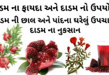 દાડમ ના ફાયદા | દાડમ નો ઉપયોગ | દાડમ ની છાલ અને પાંદના ઘરેલું ઉપચારો દાડમ ના ફાયદા - દાડમ ની છાલ અને પાંદના ઘરેલું ઉપચારો - દાડમ ની માહિતી - dadam na faida Gujarati - pomegranate benefits in Gujarati - દાડમ નો ઉપયોગ - દાડમ ના નુકસાન