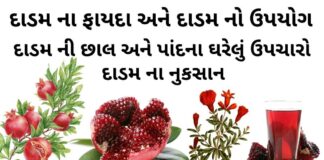 દાડમ ના ફાયદા | દાડમ નો ઉપયોગ | દાડમ ની છાલ અને પાંદના ઘરેલું ઉપચારો દાડમ ના ફાયદા - દાડમ ની છાલ અને પાંદના ઘરેલું ઉપચારો - દાડમ ની માહિતી - dadam na faida Gujarati - pomegranate benefits in Gujarati - દાડમ નો ઉપયોગ - દાડમ ના નુકસાન