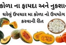 કોળા ના ફાયદા અને નુકશાન | કોળા નો ઉપયોગ ઘરેલું ઉપચાર મા કોળા ના ફાયદા - કોળા ના નુકશાન - કોળું ખાવાના ફાયદા - કોળું ના ફાયદા - pumpkin benefits in Gujarati