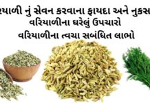 વરીયાળી ના ફાયદા | વરિયાળીનું શરબત બનાવવાની રીત | વરીયાળી ના નુકસાન વરીયાળી ના ફાયદા - વરીયાળી ના નુકસાન - વરિયાળીનું શરબત બનાવવાની રીત - વરિયાળીના ઘરેલું ઉપચારો - variyali na fayda - Fennel seeds benefits in Gujarati