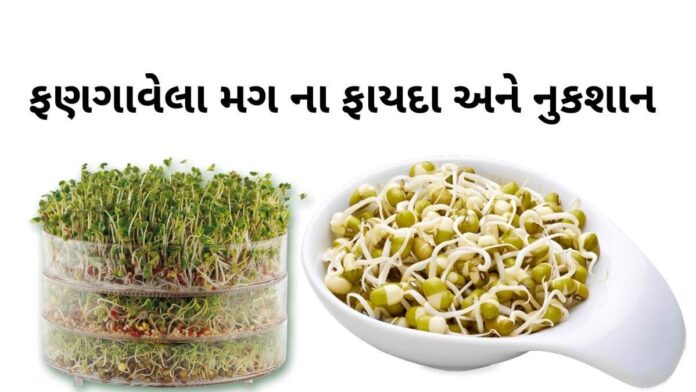 fangavela mag na fayda ફણગાવેલા મગ ના ફાયદા - Fangavela mag benefits in Gujarati - fangavela mag na fayda - મગ ફણગાવવાની રીત