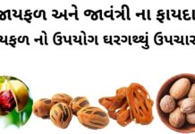 જાયફળ અને જાવંત્રી ના ફાયદા | જાયફળ નો ઉપયોગ ઘરગથ્થું ઉપચારમા જાયફળ ના ફાયદા - જાયફળ ખાવાના ફાયદા - જાયફળ અને જાવંત્રી ના ફાયદા - જાયફળ નો ઉપયોગ - jayfal na fayda - Health benefits of nutmeg in Gujarati