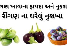 રીંગણ ખાવાના ફાયદા અને નુકશાન | Ringan na fayda | brinjal benefits રીંગણ ખાવાના ફાયદા - રીંગણ ના ફાયદા - રીંગણ ના નુકશાન - ringan na fayda - brinjal benefits in Gujarati