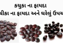 કચુકા ના ફાયદા | કચીકા ના ફાયદા અને ઘરેલું ઉપચાર | Kachuka na fayda કચુકા ના ફાયદા - કચીકા ના ફાયદા - Aambli na kachuka na fayda - kachika na fayda in Gujarati