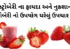 સ્ટ્રોબેરી ના ફાયદા અને નુકશાન | Strawberry na fayda benefits in Gujarati સ્ટ્રોબેરી ના ફાયદા - સ્ટ્રોબેરી ના નુકશાન - strawberry na fayda - strawberry benefits in Gujarati