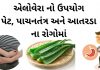 એલોવેરા નો ઉપયોગ પેટ, પાચનતંત્ર અને આતરડા ના રોગોમાં કરવાની રીત એલોવેરા નો ઉપયોગ પેટ, પાચનતંત્ર અને આતરડા ના રોગોમાં