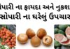 સોપારી ખાવાના ફાયદા અને નુકશાન | સોપારી ના ઘરેલું ઉપચાર | Sopari na fayda સોપારી ખાવાના ફાયદા - સોપારી ના ફાયદા - સોપારી ના નુકશાન - સોપારી ના ઘરેલું ઉપચાર - sopari na fayda - BETEL NUT benefits in Gujarati