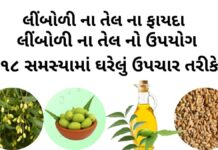 લીંબોળીનું તેલ જે ૧૮ સમસ્યામાં ઉપયોગી છે | limbodi na tel no upyog લીંબોળીનું તેલ - લીંબોળી ના તેલ ના ફાયદા - લીંબોળી ના તેલ ના ઘરેલું ઉપચાર - limbodi na tel no upyog - Limbodi na tel na fayda