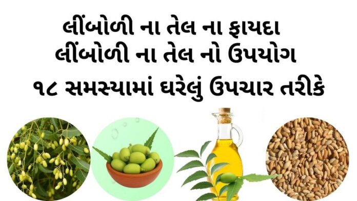Limbodi na tel na fayda લીંબોળીનું તેલ - લીંબોળી ના તેલ ના ફાયદા - લીંબોળી ના તેલ ના ઘરેલું ઉપચાર - limbodi na tel no upyog - Limbodi na tel na fayda