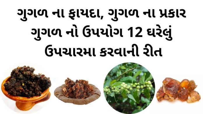 guggal na fayda in gujarati ગુગળ ના ફાયદા - ગુગળ ના પ્રકાર - ગુગળ નો ઉપયોગ ઘરેલું ઉપચારમા - guggal na fayda in gujarati - guggal no upyog