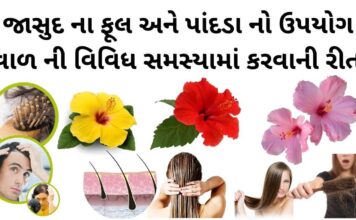 જાસુદ ના ફૂલ અને પાંદડા નો ઉપયોગ |જાસુદ ના ફૂલ ના ફાયદા વાળ માટે | Jasud na phool na fayda જાસુદ ના ફૂલ ના ફાયદા વાળ માટે - જાસુદ ના ફૂલ અને પાંદડા નો ઉપયોગ – જાસુદ ના ફૂલ નો ઉપયોગ - jasud na phool na fayda