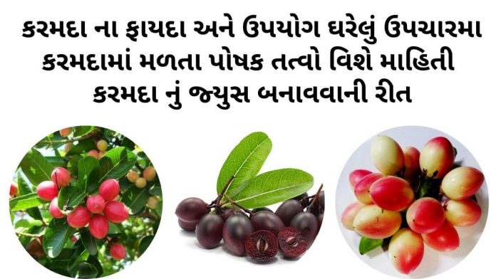 karmada na fayda કરમદા ના ફાયદા - કરમદા નો ઉપયોગ - Karmada na fayda - Carissa carandas benefits in Gujarati