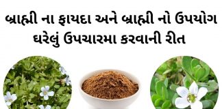 બ્રાહ્મી ના ફાયદા અને બ્રાહ્મી નો ઉપયોગ ઉપચારમા | Brahmi na fayda upyog બ્રાહ્મી ના ફાયદા - બ્રાહ્મી નો ઉપયોગ ઉપચારમા - બ્રાહ્મી વનસ્પતિ- brahmi na fayda upyog gujarati ma - brahmi no upyog gujarati ma