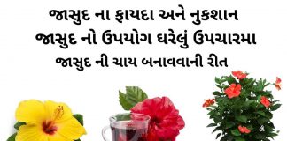 જાસુદ ના ફાયદા અને નુકશાન| જાસુદ નો ઉપયોગ ઘરેલું ઉપચારમા | jasud na fayda જાસુદ ના ફાયદા - જાસુદ નો ઉપયોગ - jasud na fayda - jasud no upyog
