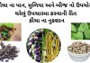 કૌચા નો ઉપયોગ | કૌચા બીજ નો ઉપયોગ | kaunch na fayda કૌચા નો ઉપયોગ - કૌચા બીજ નો ઉપયોગ - કવચ નો ઉપયોગ - કવચ ના બીજ નો ઉપયોગ - kaunch na mudiya no upyog - kaunch na fayda - kaunch churna benefits in gujarati