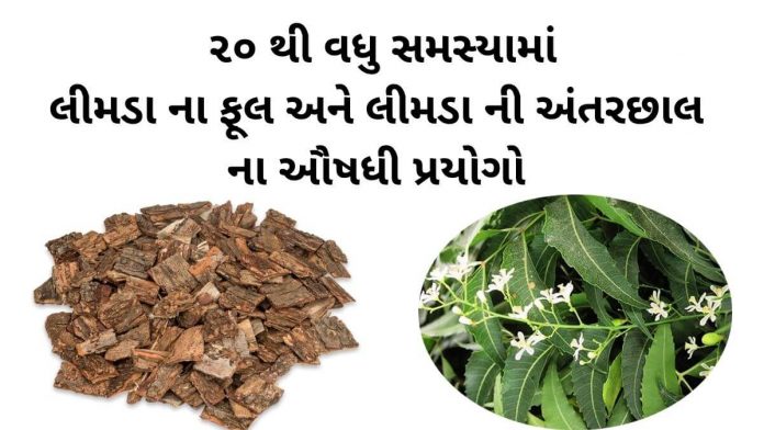 limda ni chal ful no upyog gujarati ma લીમડા ના ફૂલ નો ઉપયોગ - લીમડા ની છાલ નો ઉપયોગ - limda na phool no upyog gujarati ma, limda ni chal no upyog gujarati ma