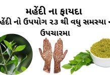 મહેંદી ના ફાયદા | મહેંદી નો ઉપયોગ | mehndi na fayda | mehndi no upyog મહેંદી ના ફાયદા - મહેંદી નો ઉપયોગ - mehndi na fayda - mehndi no upyog