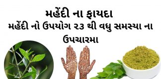 મહેંદી ના ફાયદા | મહેંદી નો ઉપયોગ | mehndi na fayda | mehndi no upyog મહેંદી ના ફાયદા - મહેંદી નો ઉપયોગ - mehndi na fayda - mehndi no upyog