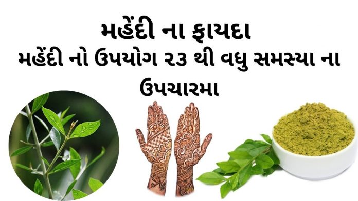 mehndi na fayda ane mehndi no upyog મહેંદી ના ફાયદા - મહેંદી નો ઉપયોગ - mehndi na fayda - mehndi no upyog