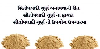 સીતોપલાદી ચૂર્ણ ના ફાયદા | સીતોપલાદી ચૂર્ણ નો ઉપયોગ ઉપચારમા સીતોપલાદી ચૂર્ણ ના ફાયદા - સીતોપલાદી ચૂર્ણ નો ઉપયોગ - Sitopaladi Churna na fayda - Sitopaladi Churna no upyog
