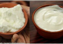 દહીં અને ચાર્ટ માટેનું મીઠું દહીં બનાવવાની રીત | Dahi ane chat mate nu mithu dahi banavani rit દહીં અને ચાર્ટ માટેનું મીઠું દહીં બનાવવાની રીત - Dahi ane chat mate nu mithu dahi banavani rit