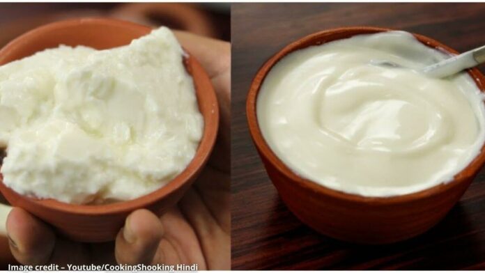 Dahi ane chat mate nu mithu dahi banavani rit દહીં અને ચાર્ટ માટેનું મીઠું દહીં બનાવવાની રીત - Dahi ane chat mate nu mithu dahi banavani rit
