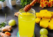 Amla shots banavani rit | આમળા શોર્ટ્સ બનાવવાની રીત Amla shots - આમળા શોર્ટ્સ