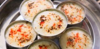 Farail Dhokla banavani rit | ફરાળી ઢોકળા  બનાવવાની રીત Farail Dhokla - ફરાળી ઢોકળા